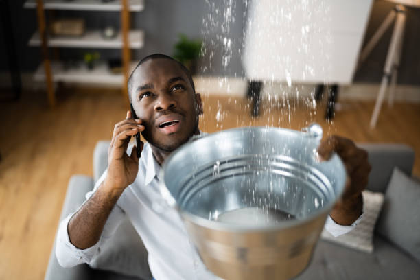 Best Flood restoration services  in Athens, IL