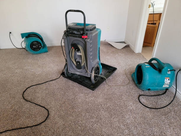Best Sewage cleanup and water damage restoration  in Athens, IL