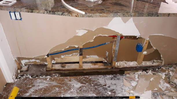Best Mold removal after water damage  in Athens, IL