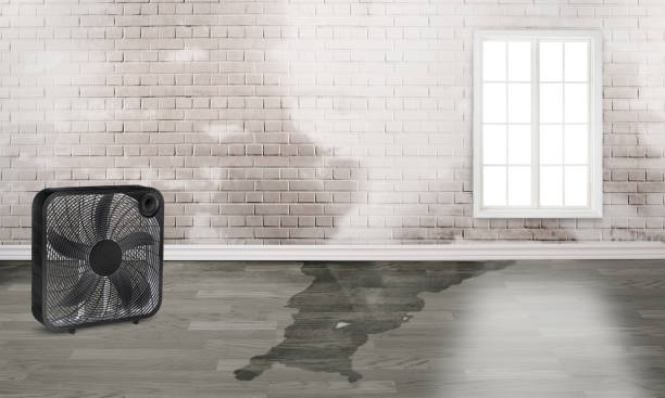 Best 24-hour water damage restoration  in Athens, IL