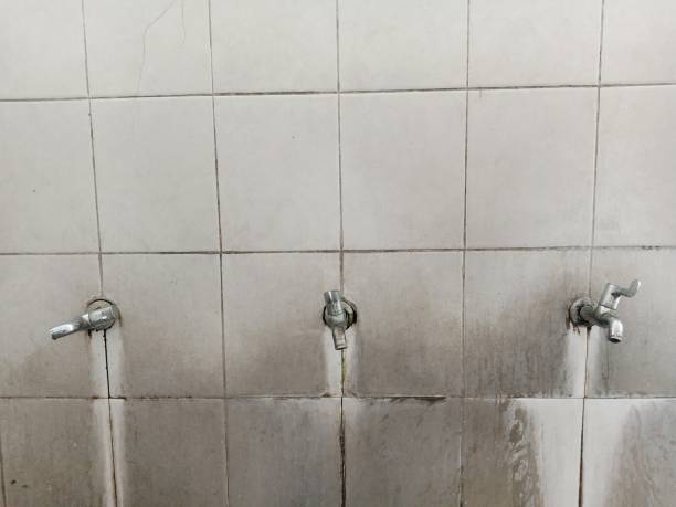 Best Residential water damage restoration  in Athens, IL