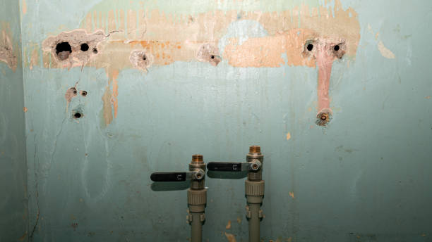 Best Water damage cleanup near me  in Athens, IL