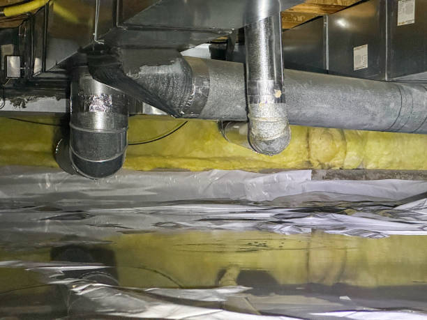 Best Local water damage restoration  in Athens, IL