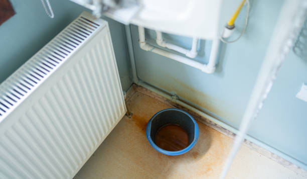 Best Fire Damage Restoration  in Athens, IL